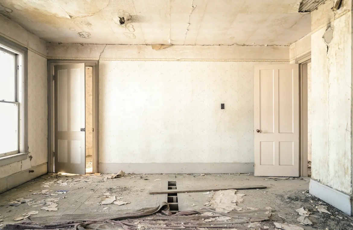 Waste disposal crew managing a cleanout project in New Hanover